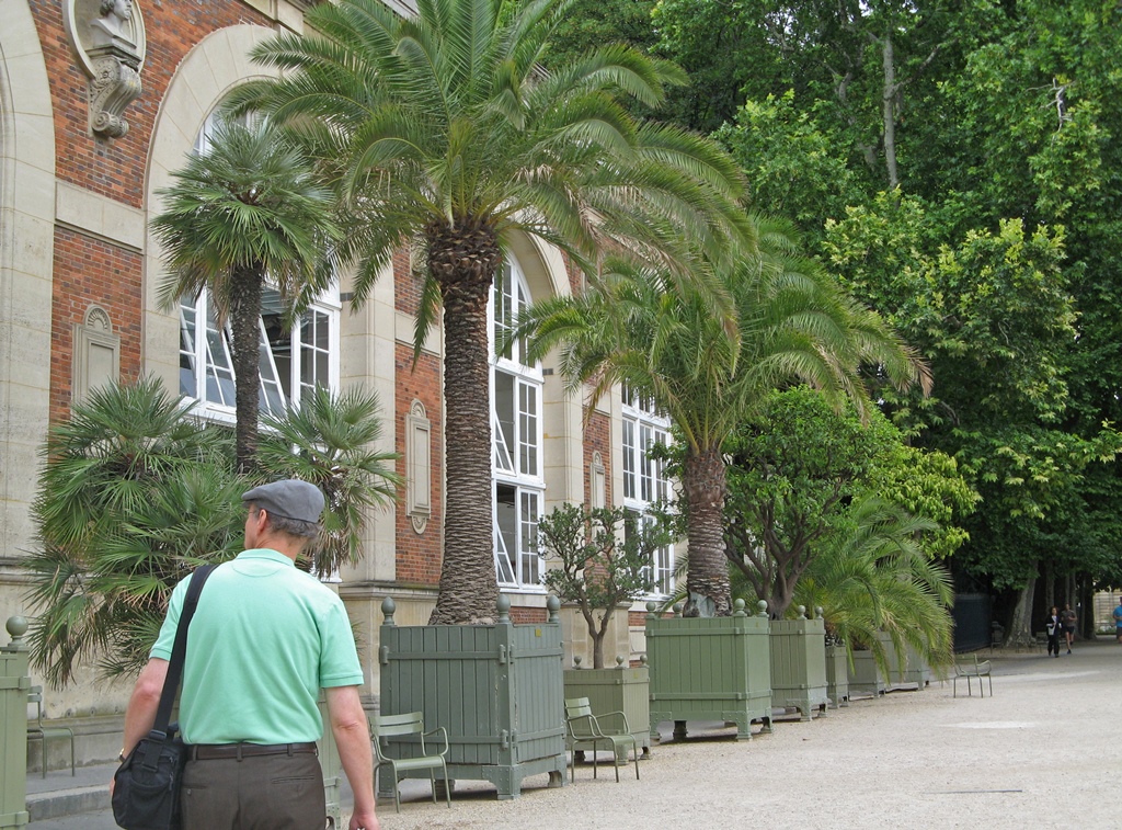 Bob, Palace and Trees