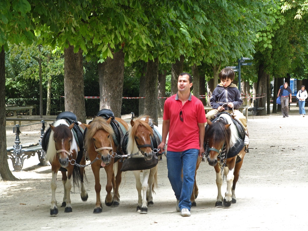 Pony Concession