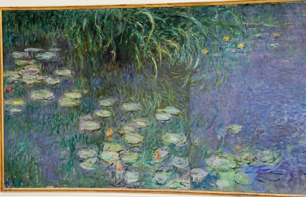 Water Lilies