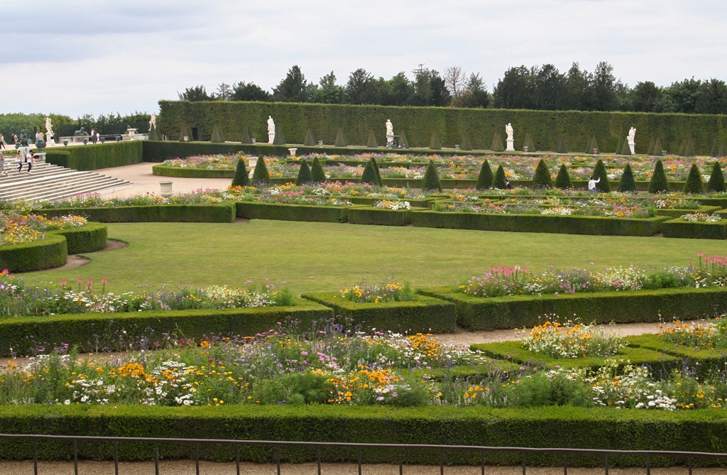 Garden from Window