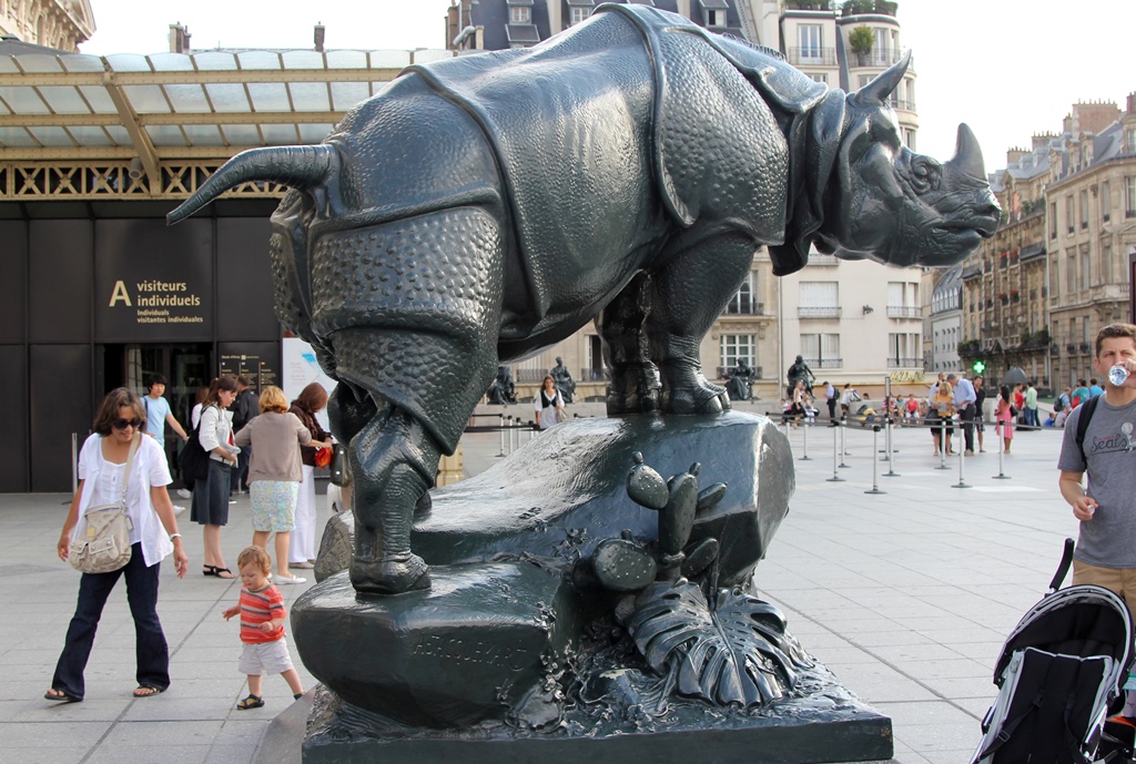 Rhinoceros
