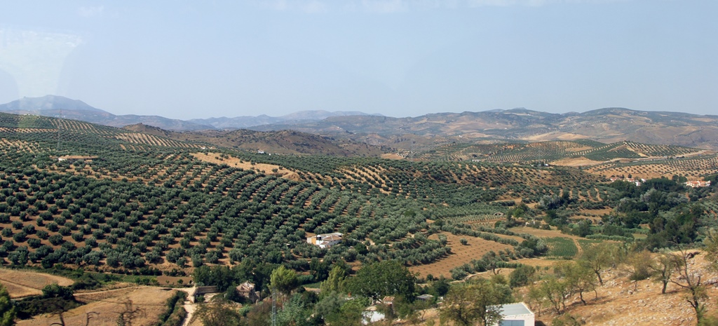 Spanish Countryside