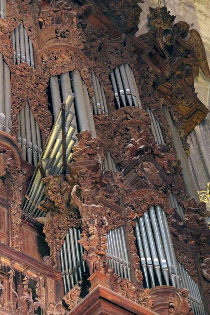 Organ